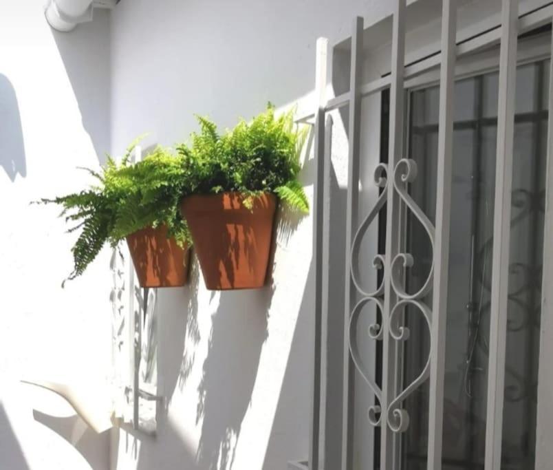 Villa La Marieta, Casita Acogedora Y Centrica à Castilleja de la Cuesta Extérieur photo